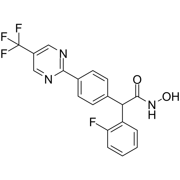 CHDI-390576