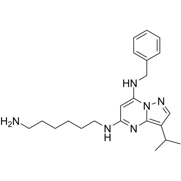 BS-181