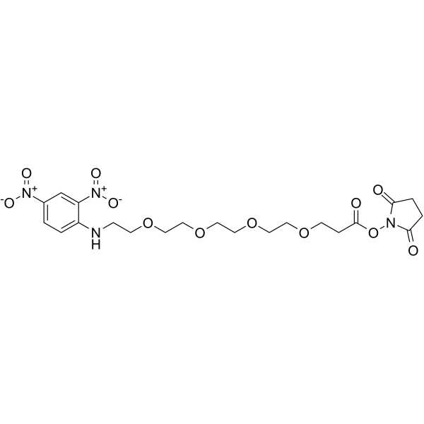 DNP-PEG4-NHS ester