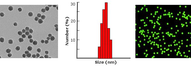 Silica nanoparticles, azide function           Cat. No. Si10-AZ-1     10 nm    0.5 mL