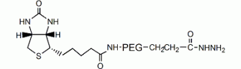 Biotin PEG hydrazide, Hydrazide PEG biotin           Cat. No. PG2-BNHZ-3k     3400 Da    50 mg