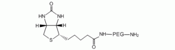 Biotin-PEG-NH2, Biotin PEG amine           Cat. No. PG2-AMBN-400     400 Da    100 mg