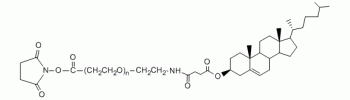 Cholesterol PEG NHS, CLS-PEG-NHS           Cat. No. PG2-CSNS-1k     1000 Da    50 mg