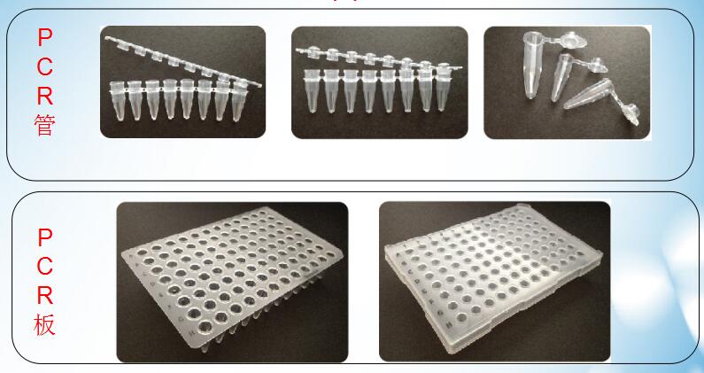荧光定量PCR耗材V1082-C