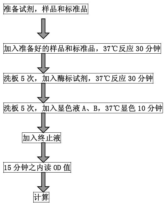 大鼠低氧诱导因子1α（HIF-1α）ELISA试剂盒BS-3266